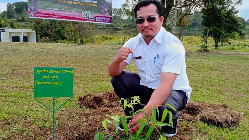 Pemkab Samosir Ikut Ambil Bagian Pencetakan Rekor Muri Penanaman Spesies Terbanyak