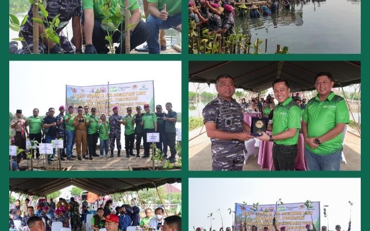 Lestarikan Pesisir Pantai,Pasmar 1 Bekerjasama dengan PT Pegadaian Tanam Ribuan Mangrove