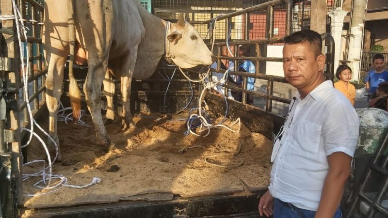 Iduladha 1443 H, Pewarta Polrestabes Medan Sembelih 3 Ekor Lembu