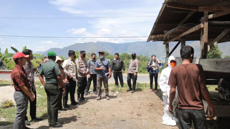 Pemkab Samosir Canangkan Vaksinasi PMK