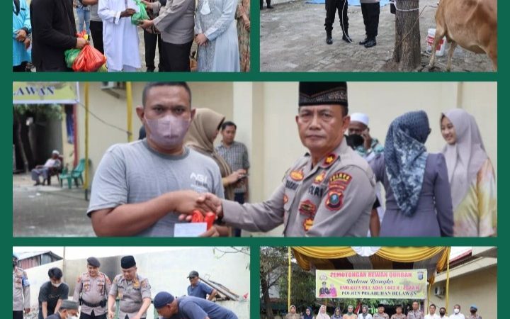 Polres Pelabuhan Belawan Sembelih 6 Ekor Sapi di Idul Adha 1443H