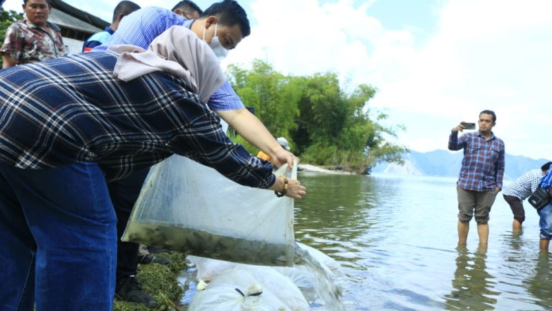Bupati Samosir bersama Anggota DPRD Provsu melakukan restoking dan penyerahan Sampan ke Nelayan Samosir