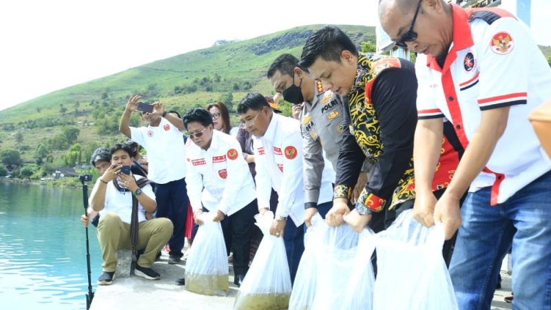 Wujudkan Komitmen Danau Toba Bermartabat, KMDT Bersama Bupati Samosir Tabur 100.000 Benih Ikan.