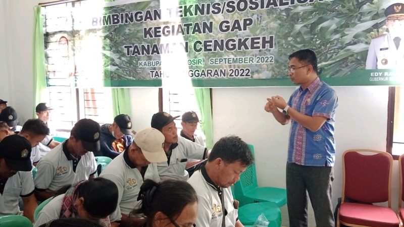 Dinas Ketapang Dan Pertanian Samosir Bangkitkan Kembali Kejayaan Cengkeh