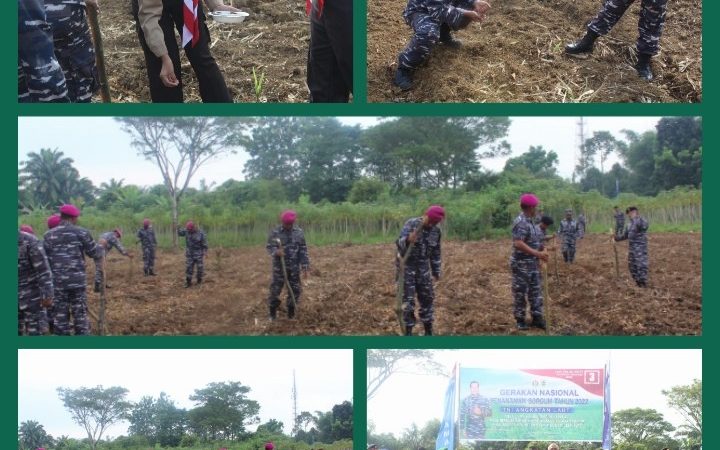 Prajurit Yonmarhanlan I Ikuti Kegiatan Gerakan Nasional Penanaman Sorgum Serentak