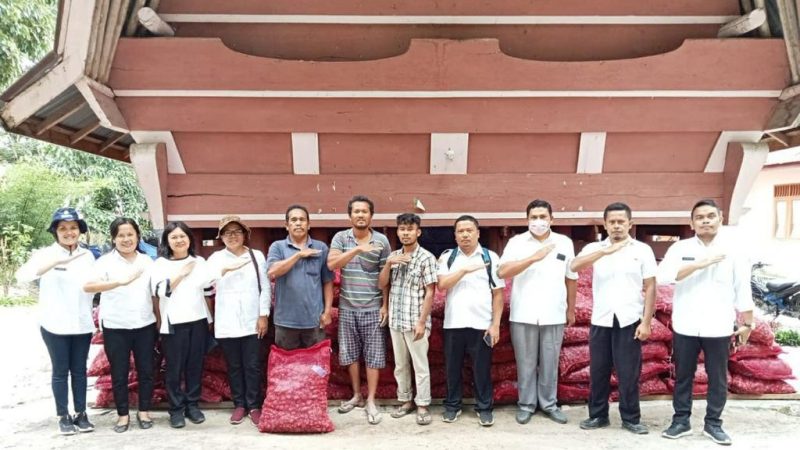 Bupati Samosir: Bibit Yang Bermutu Adalah Kunci Kesuksesan Kampung Bawang Merah