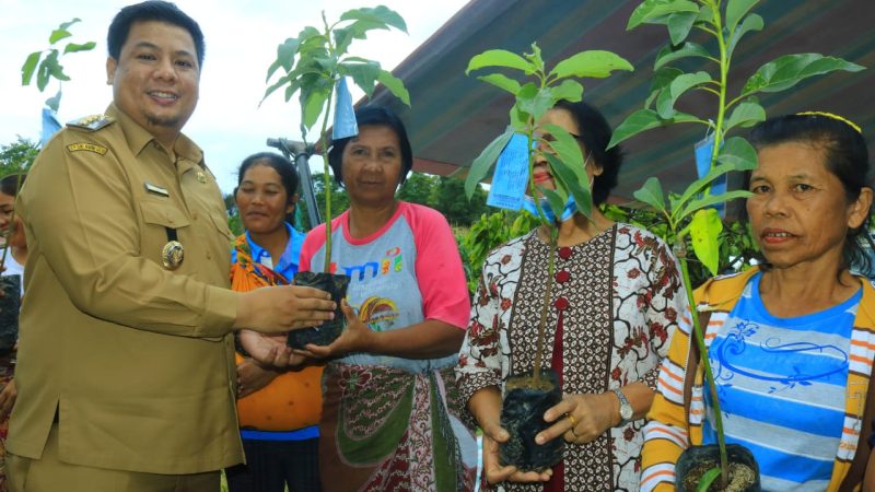 Bupati Samosir Serahkan Bibit Alpukat Program Pengembangan Kampung Buah.