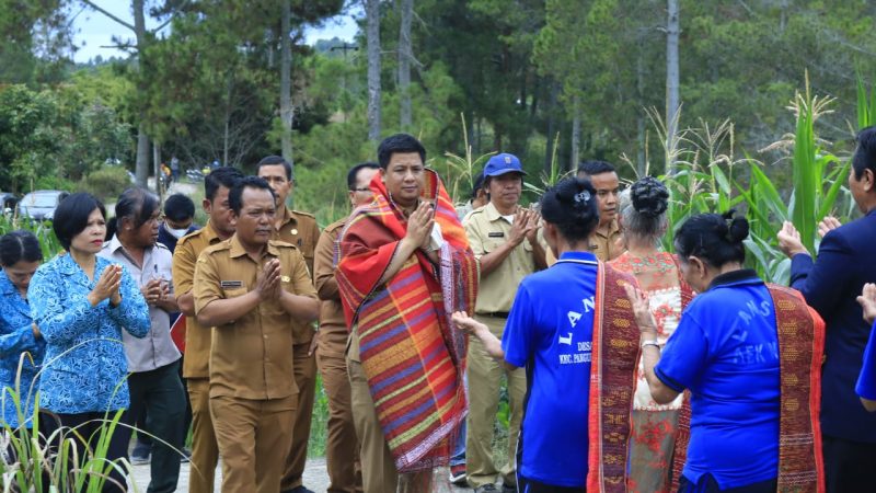 Bupati Samosir Tinjau Lahan Pertanian Cabai Merah Desa Aek Nauli
