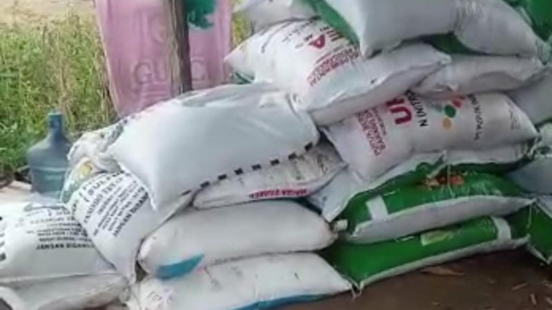 Polsek Payung Diminta Tangkap dan Proses Hukum Pelaku Dugaan Penyelewengan Pupuk di Tigan Derket Kabupaten Karo