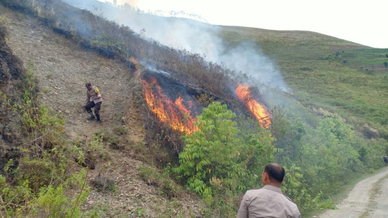 Upaya Polsek Palipi Padamkan Kebakaran Lahan di Perbukitan Simargulang Ombun