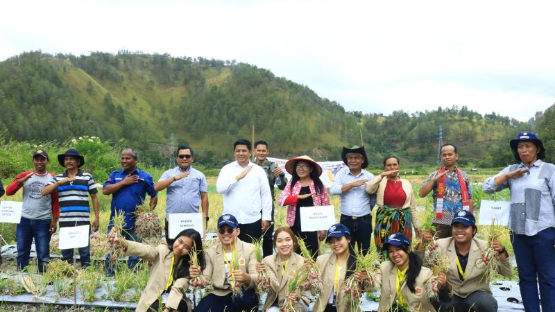 Kabupaten Samosir Terima Tambahan Kuota Pupuk Bersubsidi 15,91 Persen