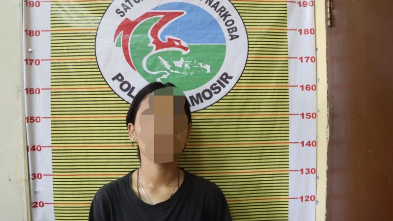 Asyik Menikmati Narkoba, Tim Polres Samosir Amankan 12 Orang