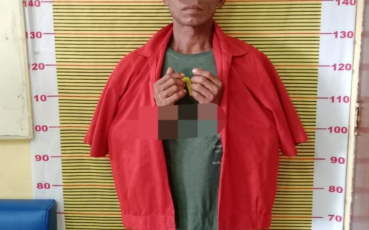 Sat Narkoba Polres Samosir Tangkap Pelaku Narkoba Jenis Sabu