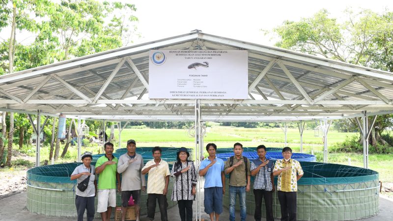 Pemkab Samosir Kembangkan Budidaya Ikan Sistim Bioflok