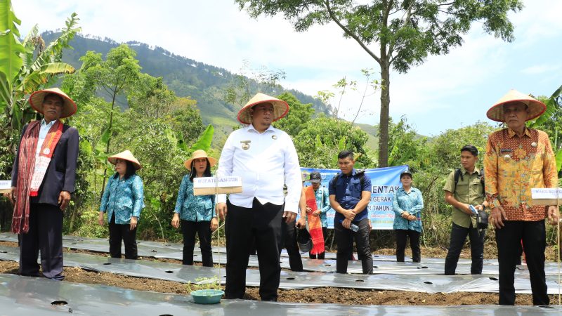 Bupati Dan Wabup Samosir Tanam Cabai Bersama Masyarakat