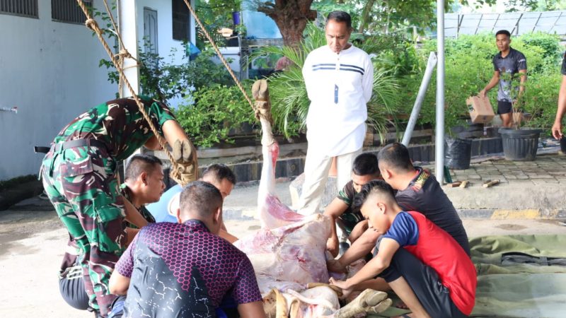 Memperingati Idul Adha 1445 H,Yonmarhanlan I Laksanakan Pemotongan Hewan Qurban