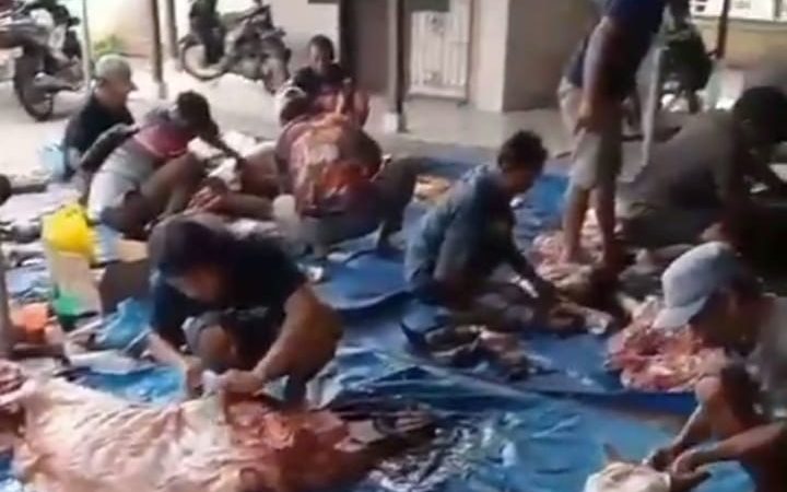 BKM Masjid Muslimin Tj.Sari Medan Selayang ,Sembelih 15 Ekor Lembu dan 16 Ekor Kambing