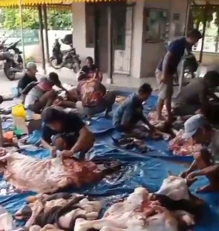 BKM Masjid Muslimin Tj.Sari Medan Selayang ,Sembelih 15 Ekor Lembu dan 16 Ekor Kambing