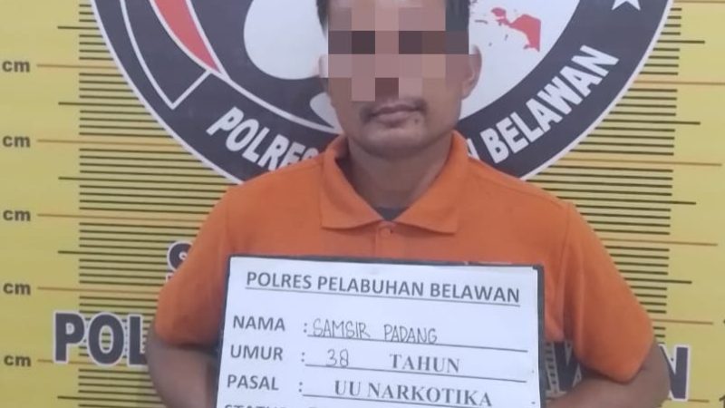 Sat Narkoba Polres Pelabuhan Belawan Tangkap Pengedar dan Pengguna Narkoba di Pematang Johar