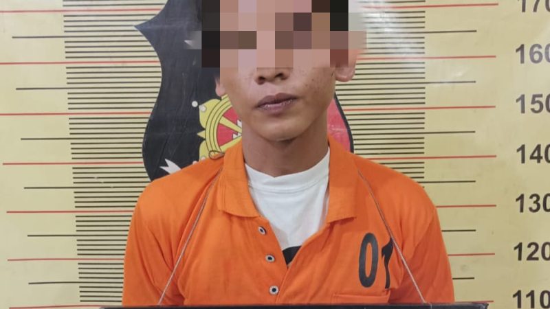 Polsek Hamparan Perak Tangkap Pelaku Penggelapan Sepeda Motor di Desa Bulu Cina