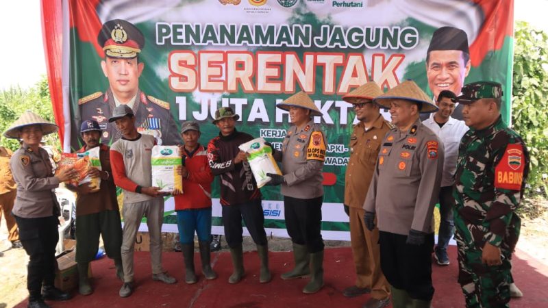 Dukung Ketahanan Pangan Nasional, Polres Pelabuhan Belawan Tanam Jagung Di Hamparan Perak