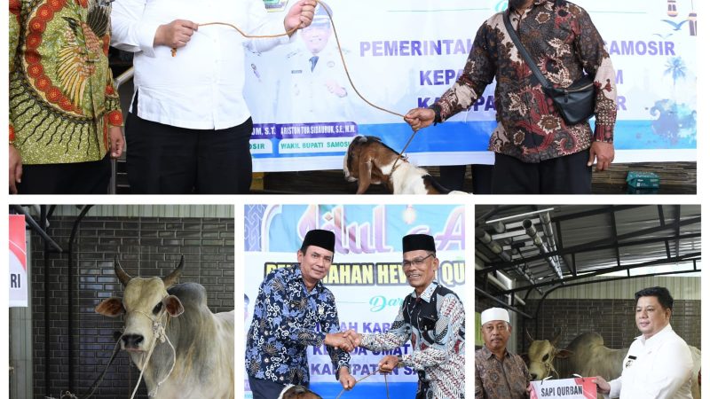 Bupati Samosir Serahkan Hewan Kurban untuk Umat Muslim