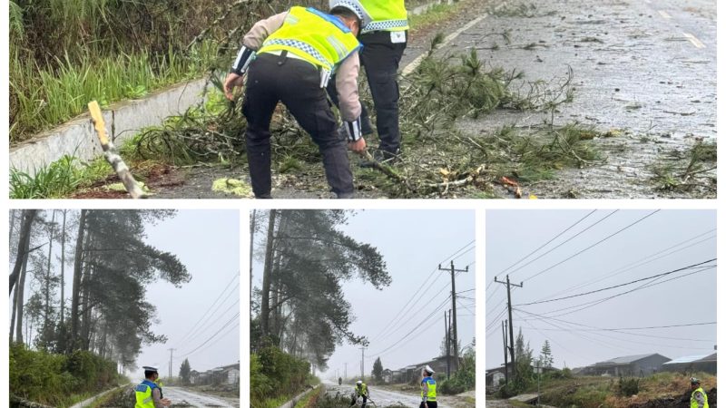 Personel Sat Lantas Polres Samosir Evakuasi Pohon Tumbang di Jalan Utama