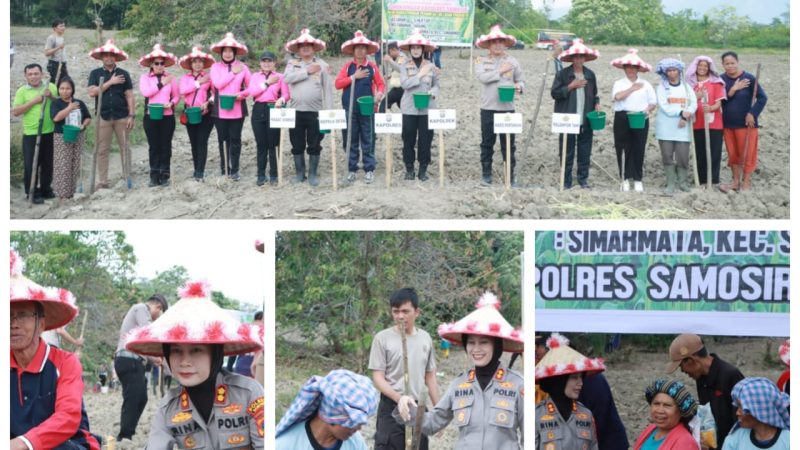 Kapolres Samosir Tanam Jagung Bersama Masyarakat, Wujudkan Ketahanan Pangan