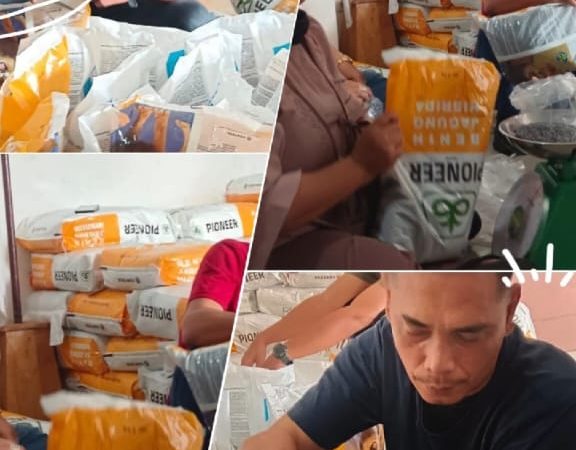 PDI Perjuangan Sumut Siapkan 5 Ton Benih Jagung untuk Petani dalam Rangka Hari Tani Nasional