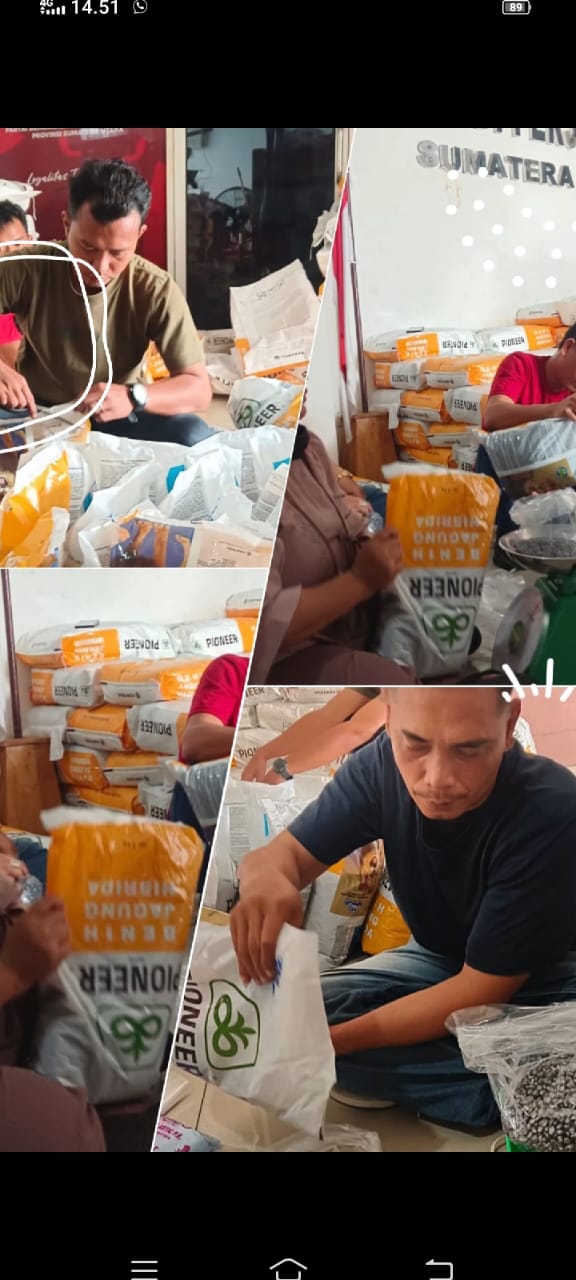 PDI Perjuangan Sumut Siapkan 5 Ton Benih Jagung untuk Petani dalam Rangka Hari Tani Nasional