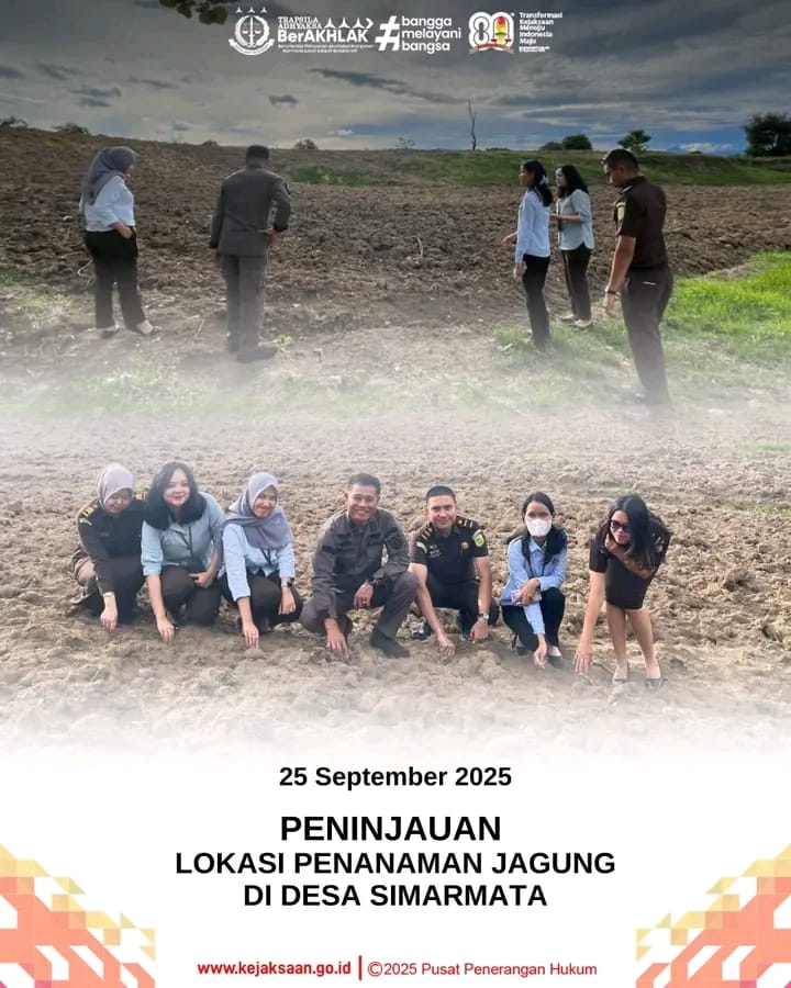 Kejaksaan Negeri Samosir Dukung Ketahanan Pangan: Peninjauan Lokasi Penanaman Jagung di Desa Simamarta