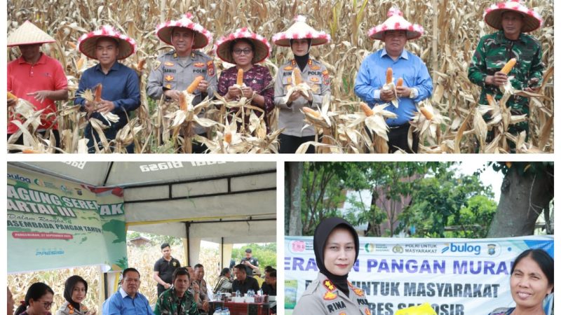 Polres Samosir Gelar Panen Raya Jagung dan Gerakan Pangan Murah untuk Dukung Ketahanan Pangan