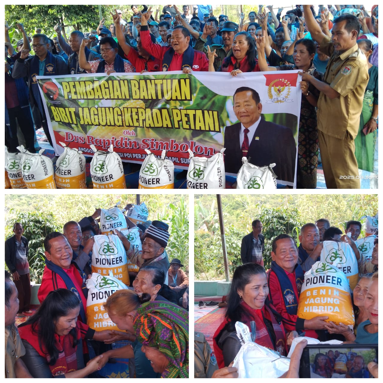 Tepati Janji, DPD PDIP Sumut Salurkan Bibit Jagung kepada Petani di Desa Sionom Udon