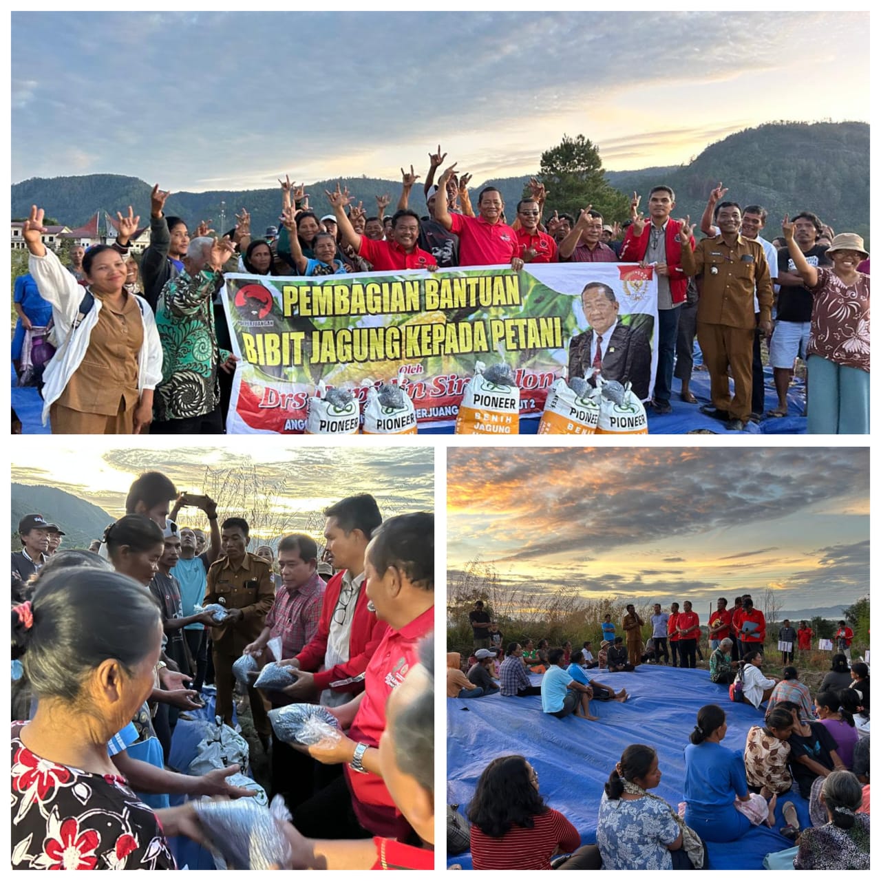 Tak kenal Lelah,Rapidin Simbolon Bagikan Benih Jagung Unggul kepada Petani di Toba dan Humbang Hasundutan