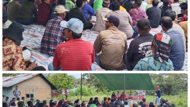 PDIP Sumut Kembali Bagikan Bibit Jagung untuk Petani di Samosir