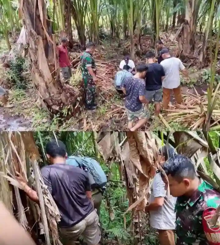Harap Waspada Keberadaan HARIMAU SUMATERA Didesa Durin Simbelang Pancurbatu