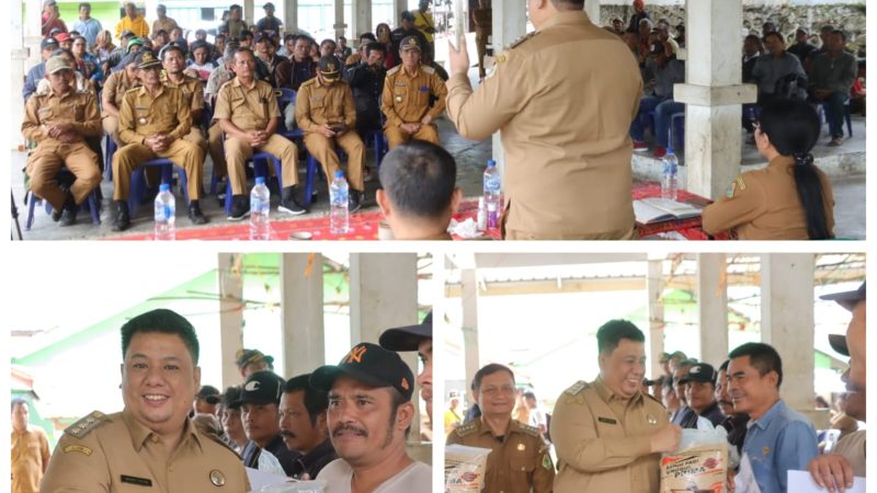 Bupati Samosir Salurkan Bantuan Bibit Padi, Wujud Kolaborasi dengan Pemprov Sumut
