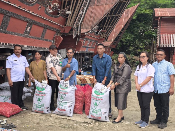 “Sorta Ertaty Serahkan Bantuan Bawang Merah di Samosir : 5 Ton Benih untuk Dongkrak Ketahanan Pangan”