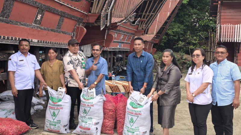 “Sorta Ertaty Serahkan Bantuan Bawang Merah di Samosir : 5 Ton Benih untuk Dongkrak Ketahanan Pangan”
