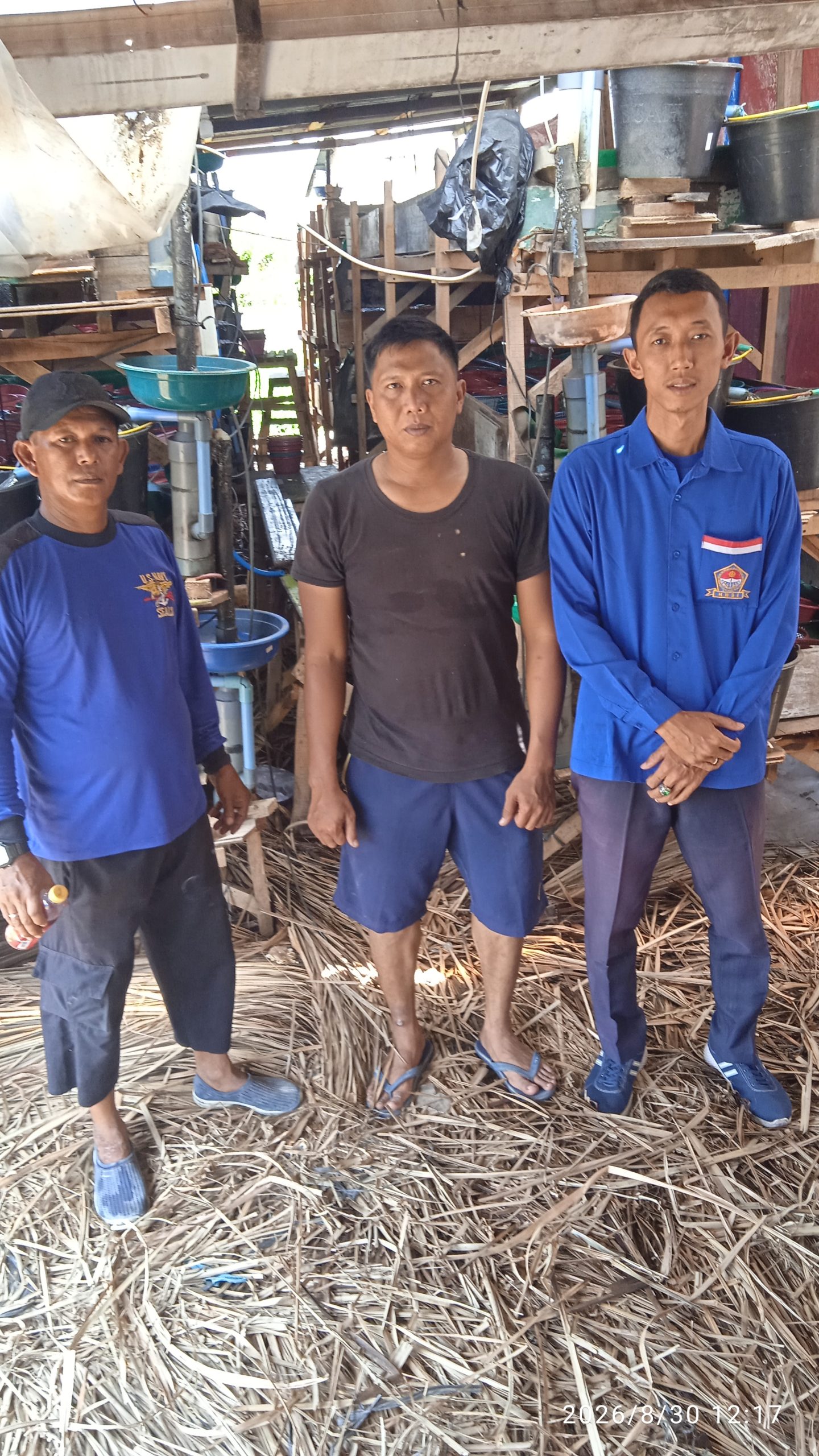 HNSI Kota Medan Dorong Budidaya Kepiting Soka, Sicanang Diproyeksikan Jadi Sentra Ekonomi Baru