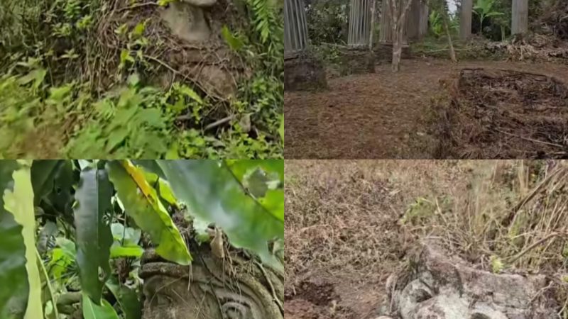 Viral! Penemuan Patung Misterius di Lereng Gunung Salak Hebohkan Warganet, Publik Desak Pemerintah Lakukan Kajian Arkeologi