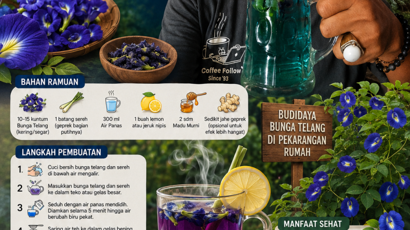 Dari Pekarangan Menjadi Sumber Kesehatan: Rouses deFretes Budidayakan Bunga Telang, Hadirkan Edukasi Herbal Alami untuk Masyarakat