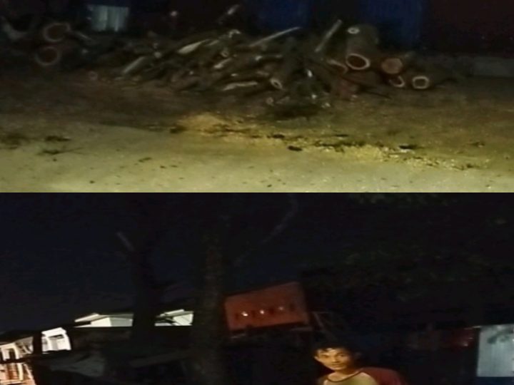 Pohon Ditebang Tengah Malam Dijalan Abdul Sani Mutholib,Warga Marelan Desak DLH Medan Buka Klarifikasi 