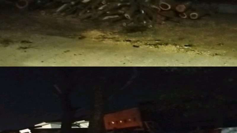 Pohon Ditebang Tengah Malam Dijalan Abdul Sani Mutholib,Warga Marelan Desak DLH Medan Buka Klarifikasi 