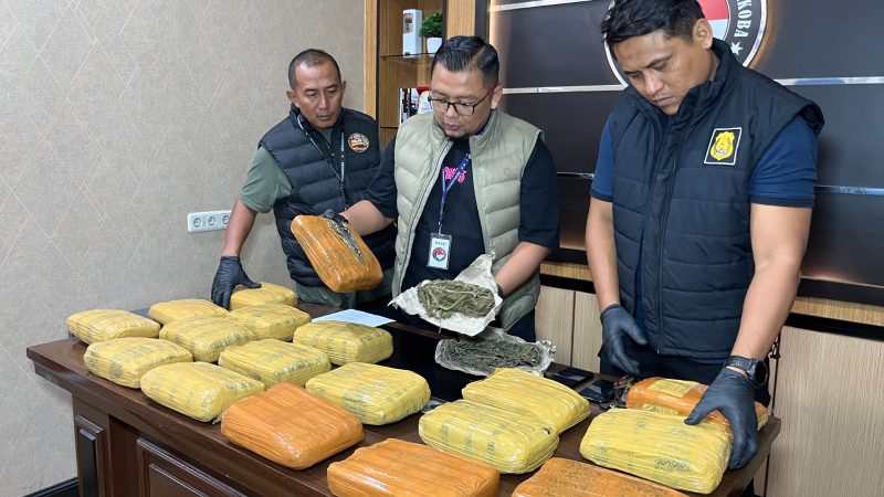 Kandang Ayam Jadi Kamuflase Gudang Ganja, Polrestabes Medan Ungkap 18 Kg Narkotika dan Ringkus Dua Pemuda