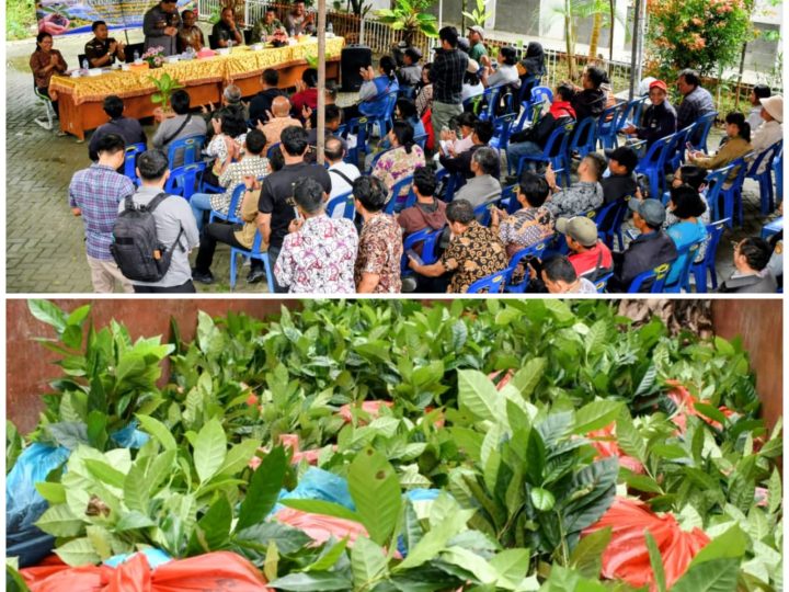 Bibit Kopi Arabika Gayo 3 Banjiri Samosir – 245 Kelompok Tani Siap Tanam 1.250 Hektare, Bupati Vandiko : Jangan Dijual !