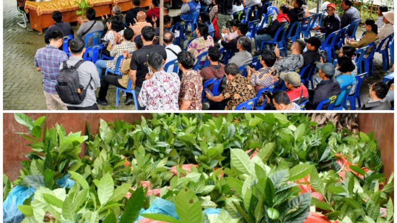 Bibit Kopi Arabika Gayo 3 Banjiri Samosir – 245 Kelompok Tani Siap Tanam 1.250 Hektare, Bupati Vandiko : Jangan Dijual !